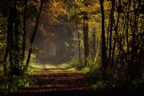 Wanderung durch den Herbstwind! Eine detaillierte Analyse der malerischen Landschaften von Pei Sheng